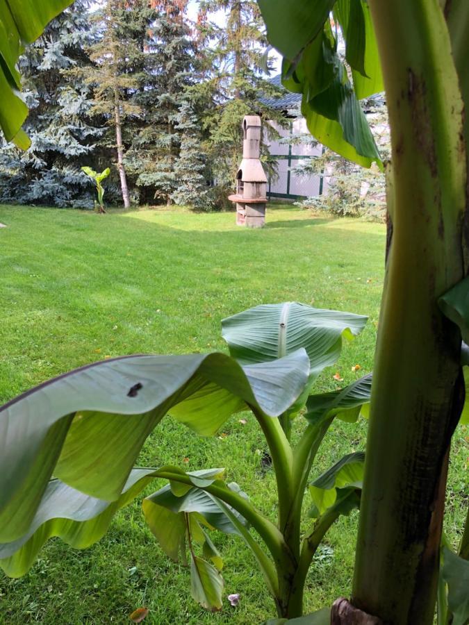 Stettiner Haff Nebengebaeude Villa Mönkebude Екстериор снимка